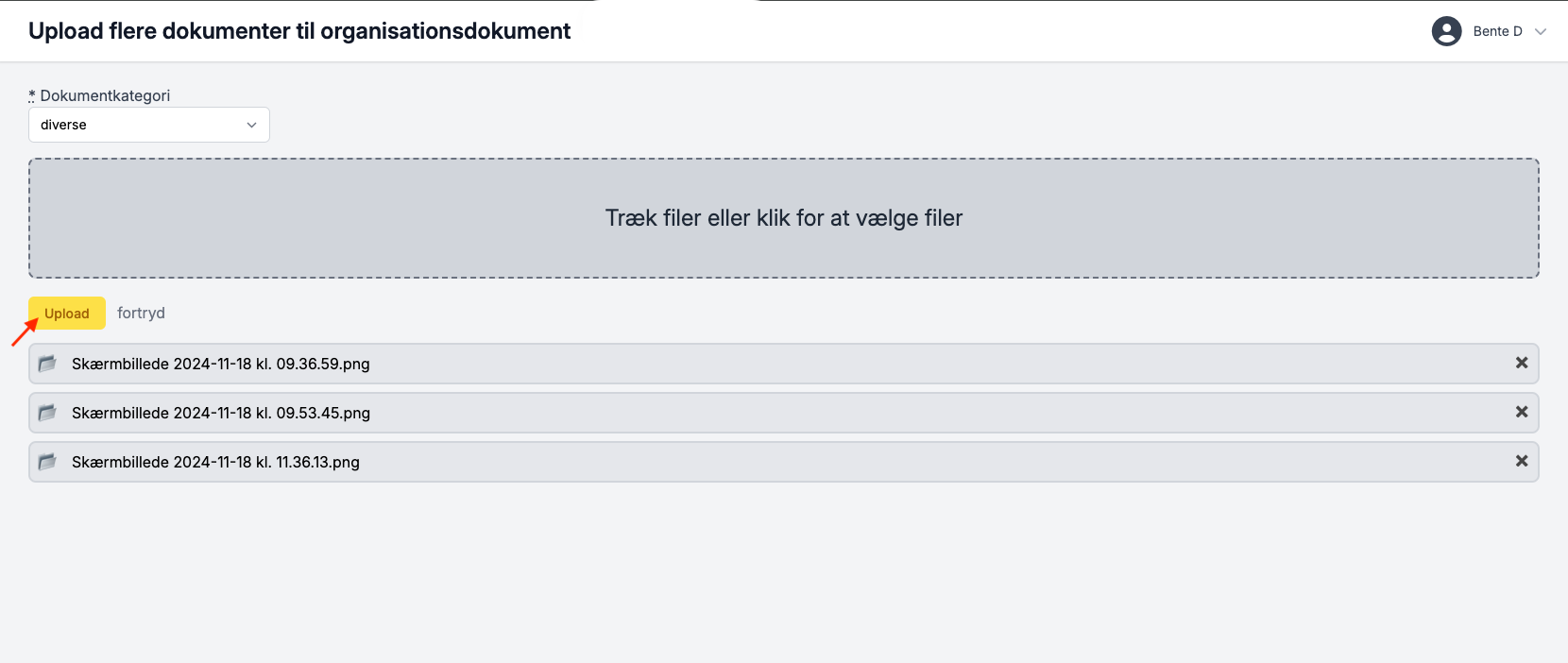 Skærmbillede 2024-11-19 kl. 10.46.31.png